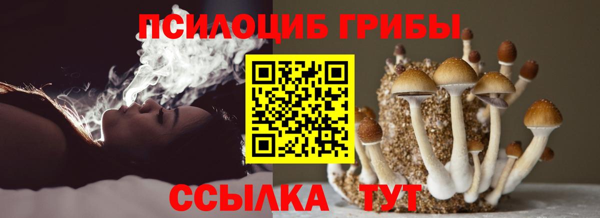 Миасс  Галлюциногенные грибы Psilocybine cubensis  Вход с VPN 